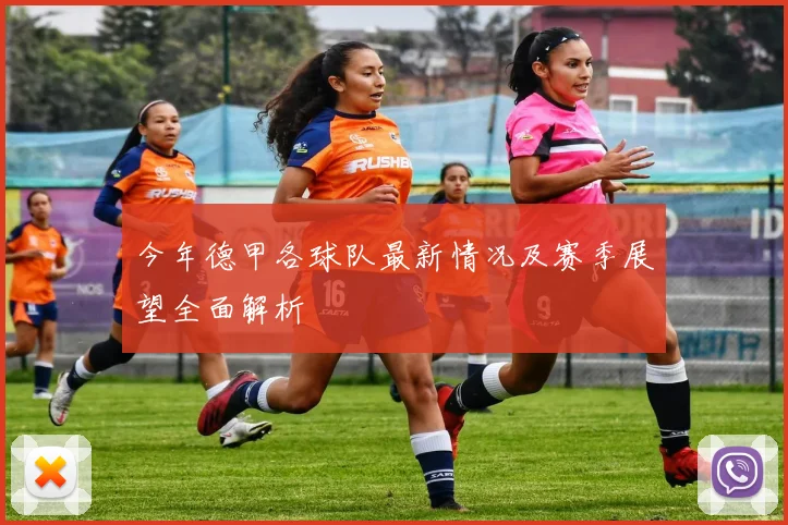 今年德甲各球队最新情况及赛季展望全面解析