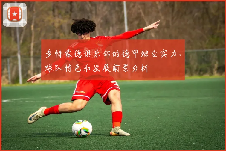 多特蒙德俱乐部的德甲综合实力、球队特色和发展前景分析