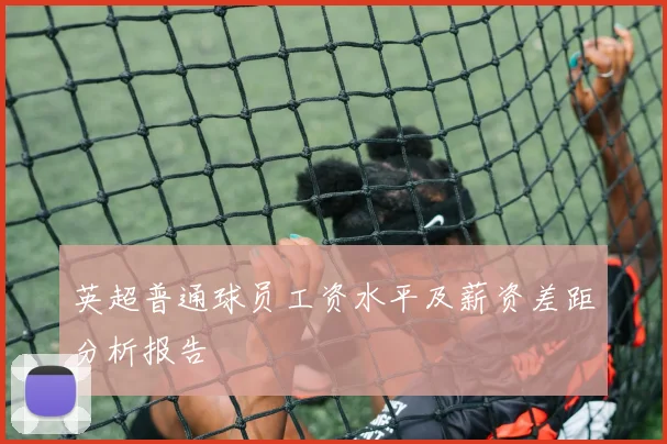 英超普通球员工资水平及薪资差距分析报告