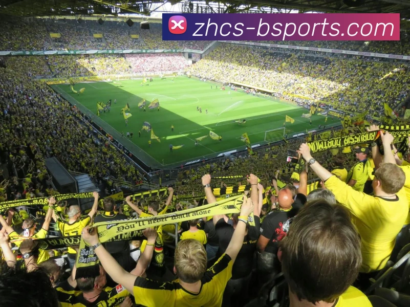 B体育BsportsAPP 封面图